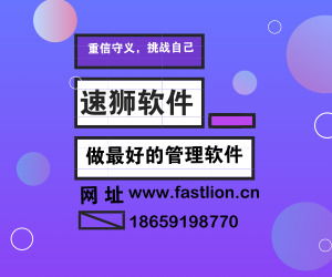 北京ERP系统专业开发，速狮软件以无与伦比的服务引领软件开发新标准